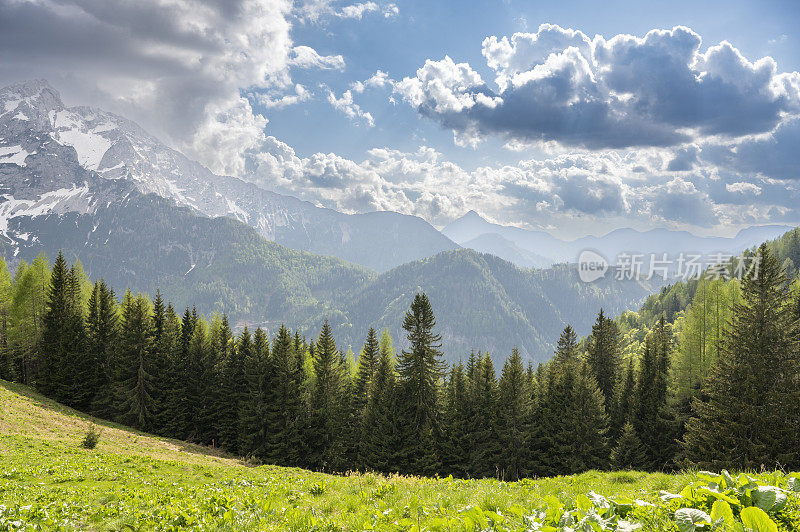 在春天，从Goli vrh俯瞰Zgornje Jezersko山谷